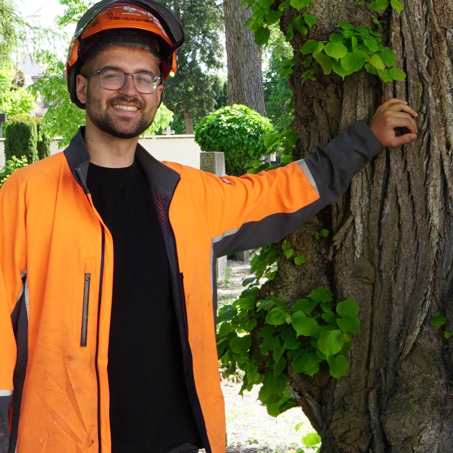 Beschreibung des Bildes