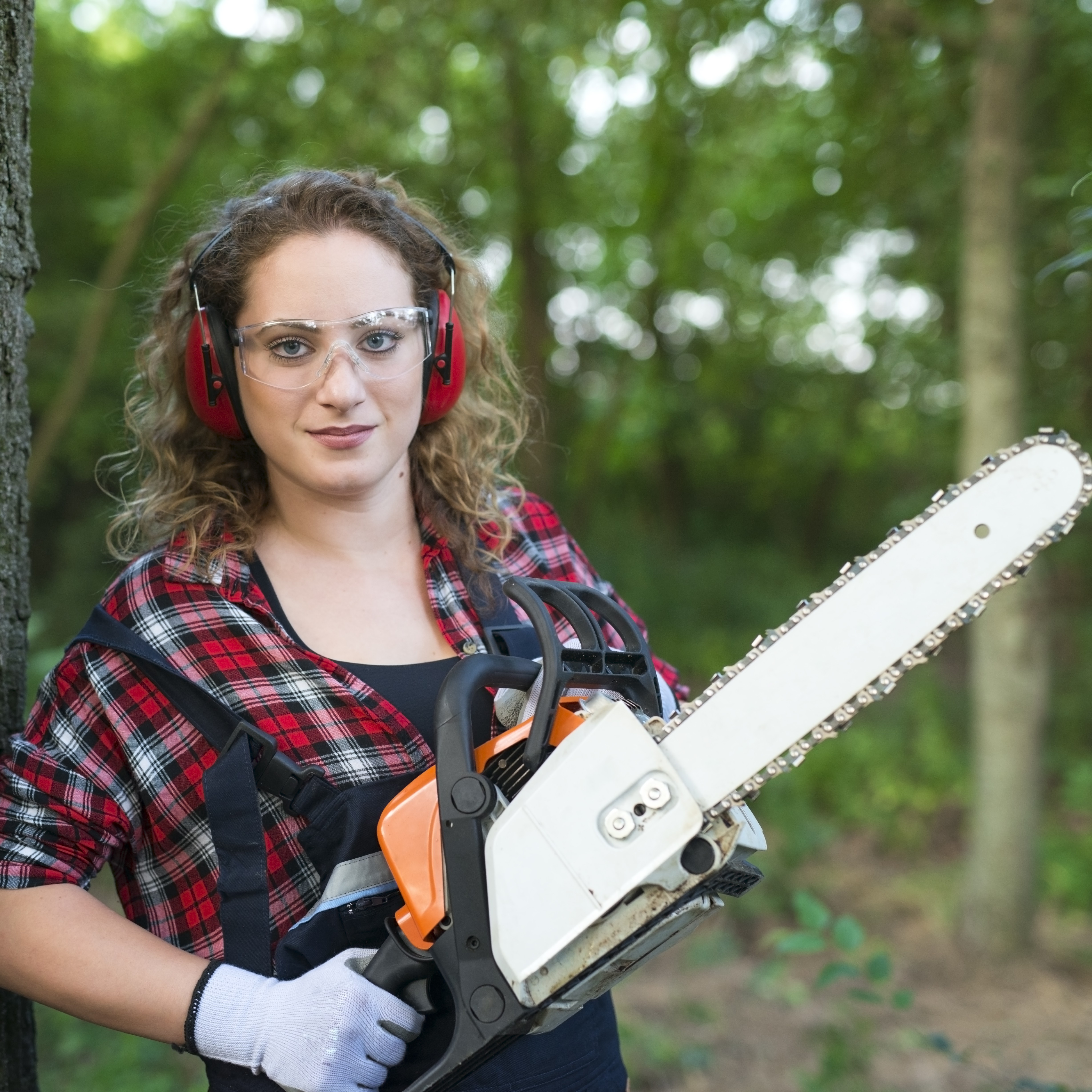 Beschreibung des Bildes